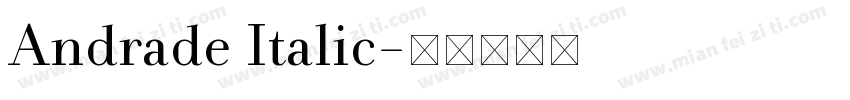 Andrade Italic字体转换